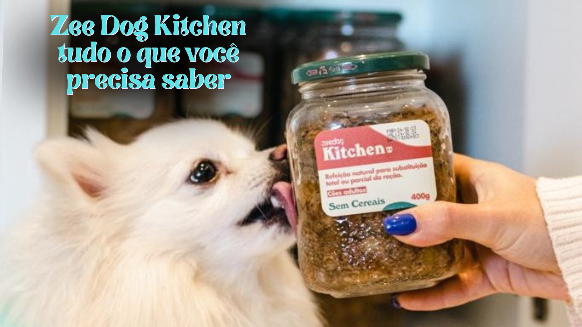 Zee Dog Kitchen