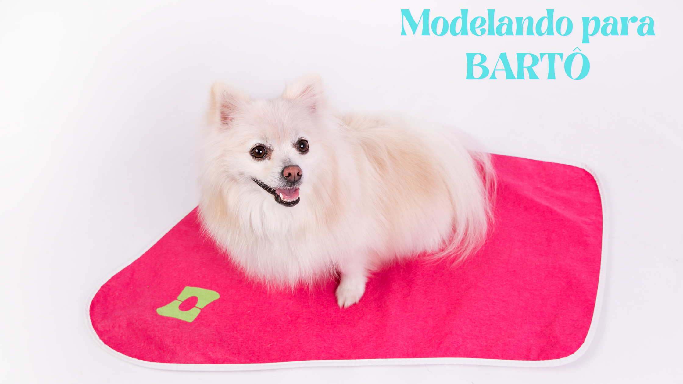 Sendo Modelo para a Bartô: WOSSO, O Tapete Lavável.