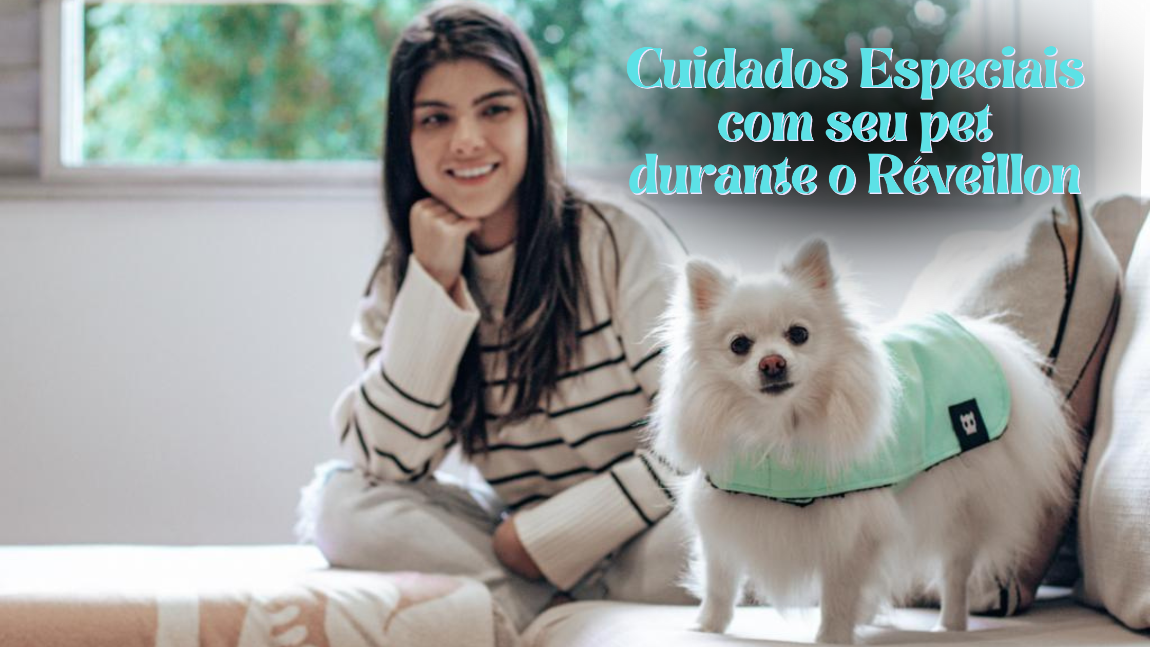 Cuidados Especiais com seu pet durante o Réveillon