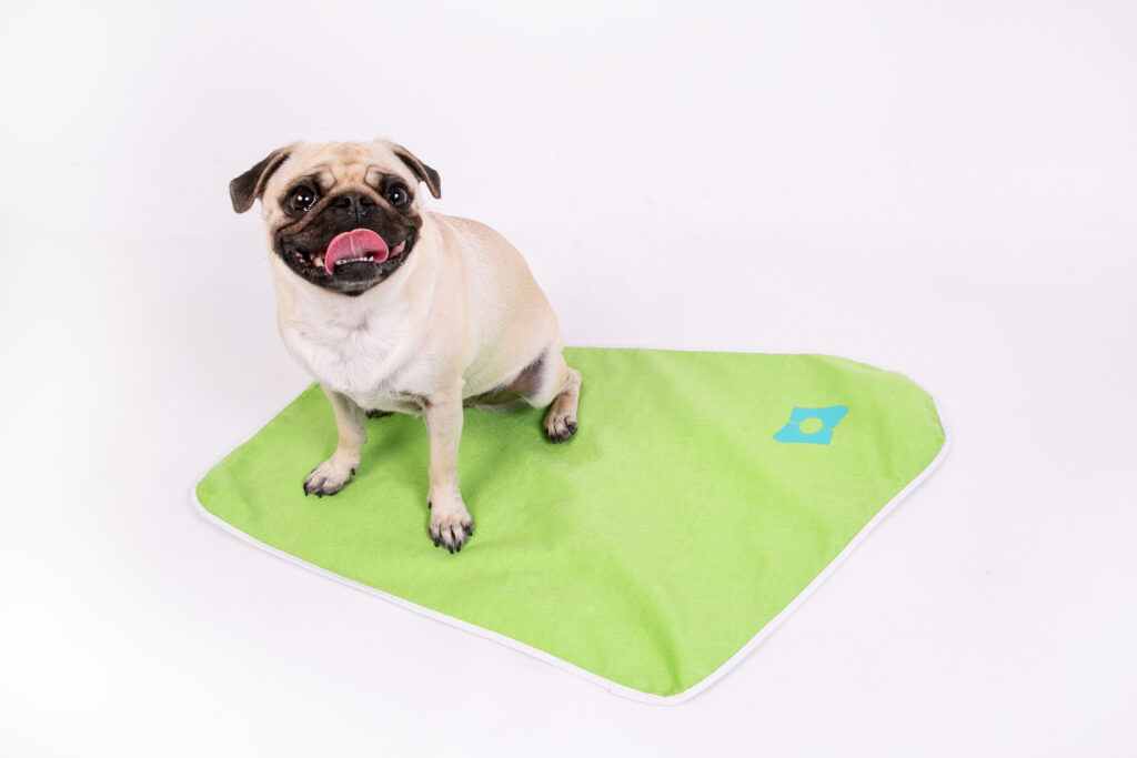 PUG